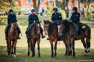 Zabezpieczenie meczu w Tychach. Policjanci na koniach służbowych