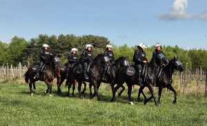Policjanci na koniach jadą w grupie na łące