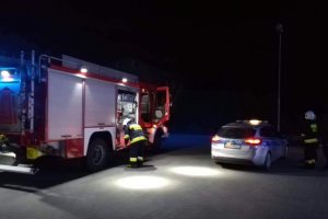 Wola ul. Pszczyńska, rejon paczkomatu- interwencja policjantów i strażaków w związku z uwolnieniem psa zamkniętego w jedenj ze skrzynek paczkomatu.