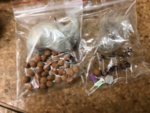 zdjęcie przedstawia tabletki extazy oraz marihuanę